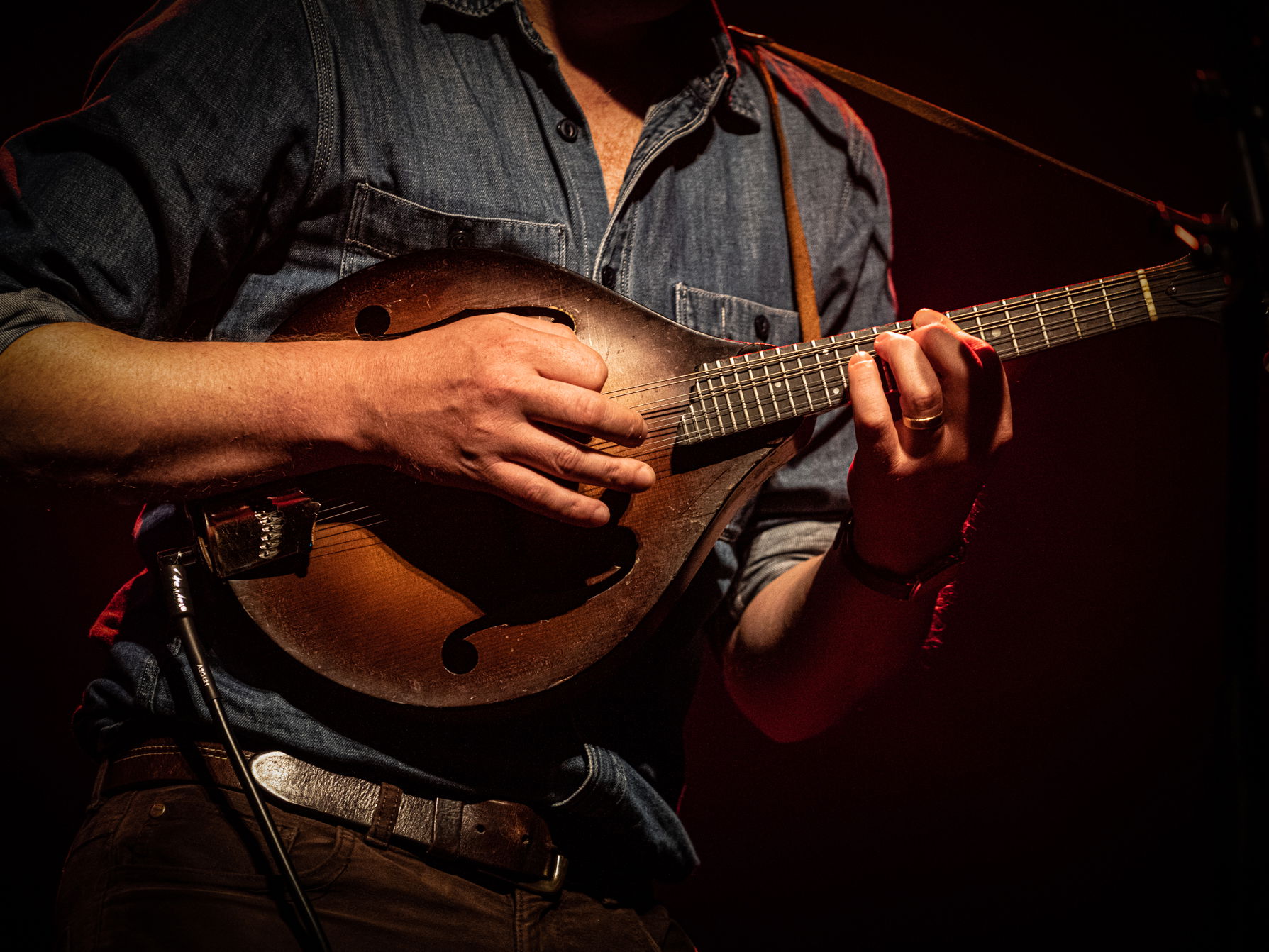 Tuinconcert Rob heron & the Tea Pad Orchestra - Photo Anya - 2022 in De Tamboer