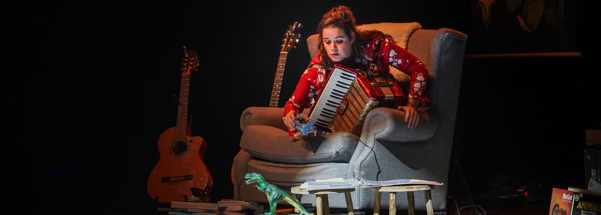 Op 23 februari 2019 was Katinka Polderman te zien in De Tamboer met haar voorstelling Polderman draagt een steentje bij.