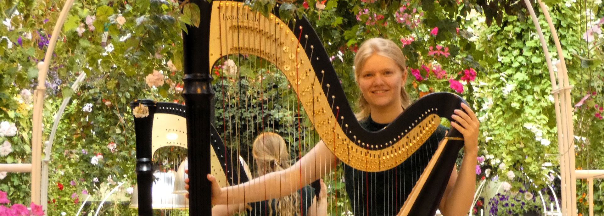 Harpiste Shamáti Willemse - 2026 in De Tamboer