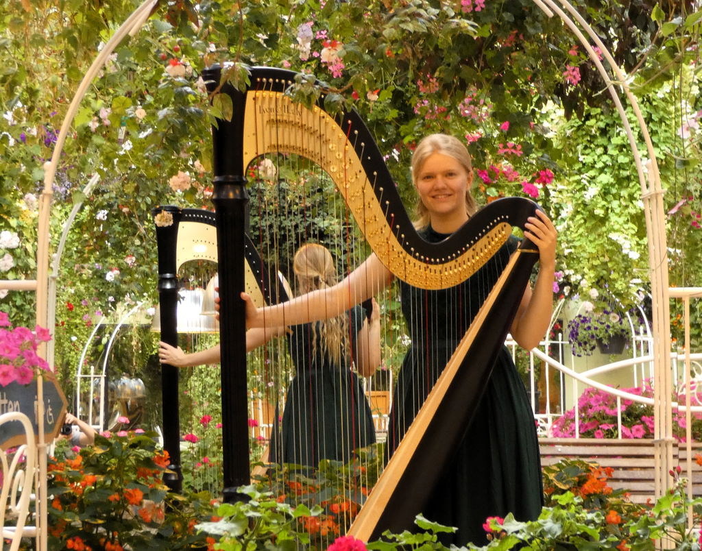 Harpiste Shamáti Willemse - 2026 in De Tamboer