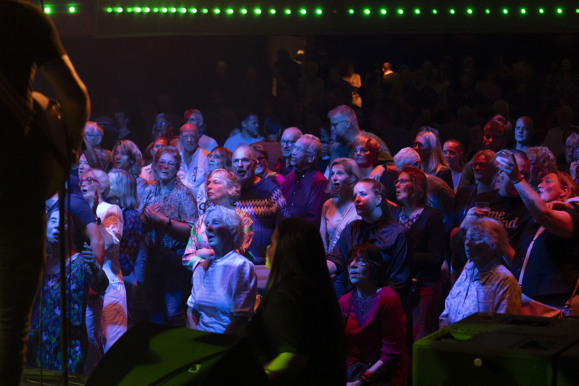 Irish Festival 2025 - Anouk Schamper Fotografie