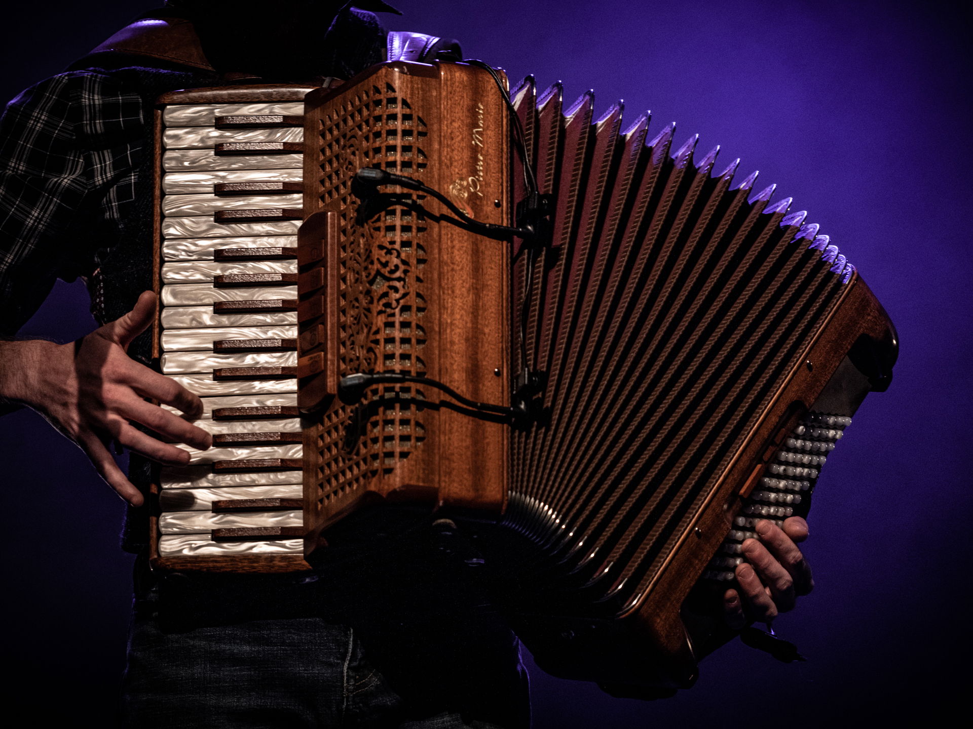 Tuinconcert Rob heron & the Tea Pad Orchestra - Photo Anya - 2022 in De Tamboer