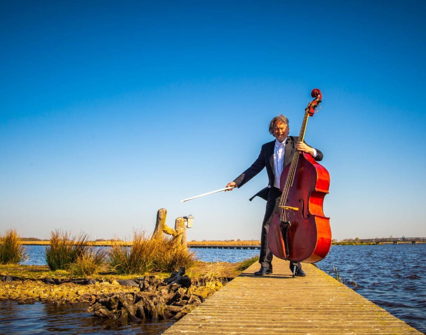 Klassieke vrienden - Tim Roegwold