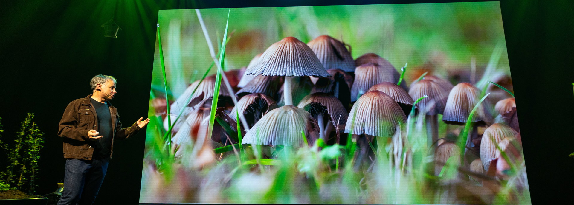 Stadssafari - 2027 in De Tamboer