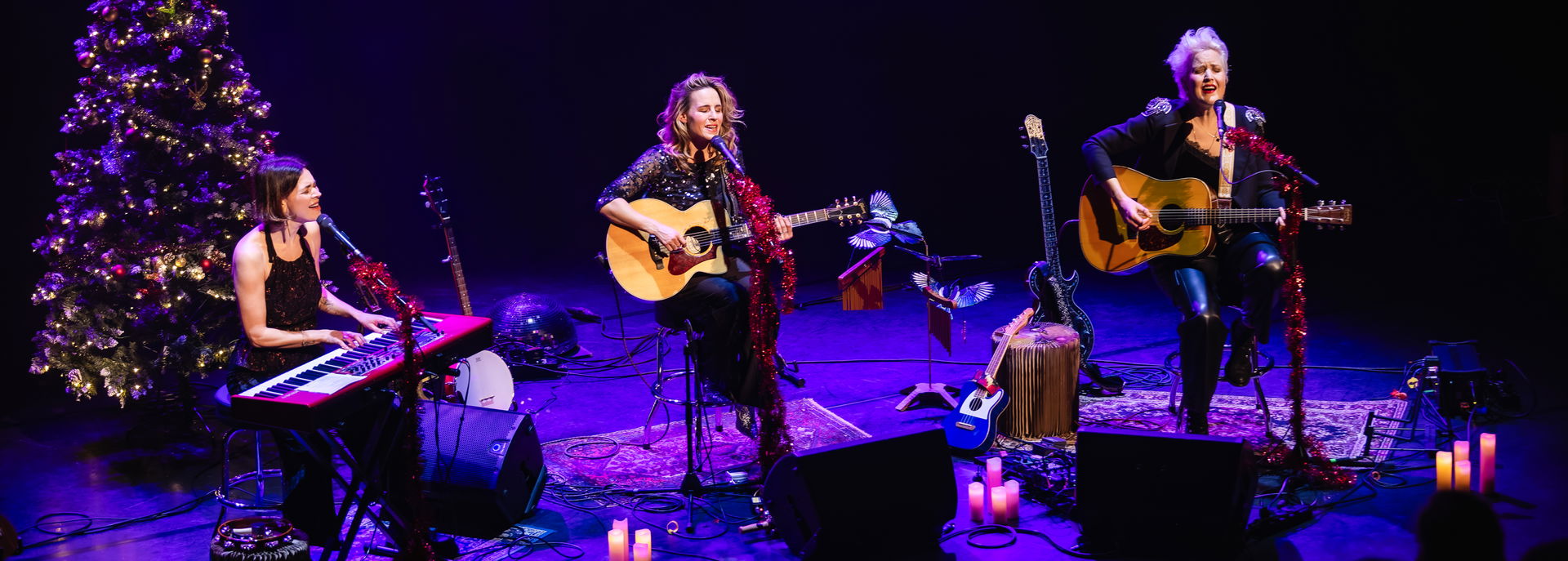The BlueBirds - 2025 in De Tamboer - Fotograaf: Nienke de Groot