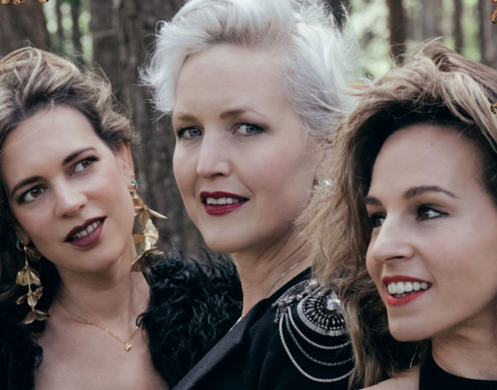 The bluebirds - 2025 in De Tamboer