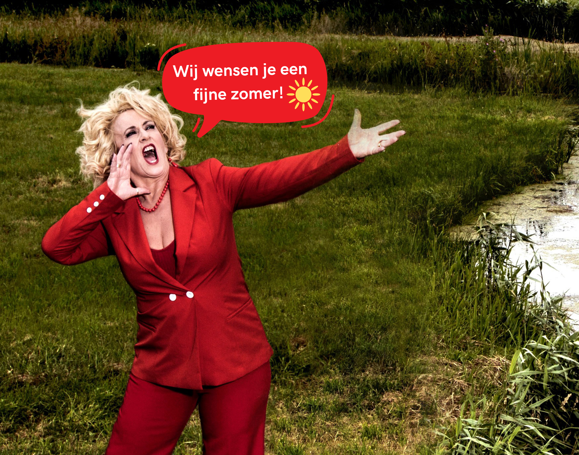 fijnezomer-20262027-detamboer